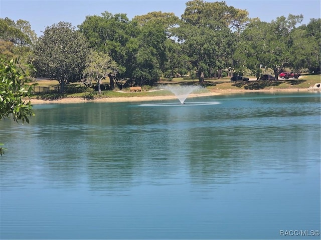 6487 W Lexington Dr, Crystal River, FL 34429 - photo 24