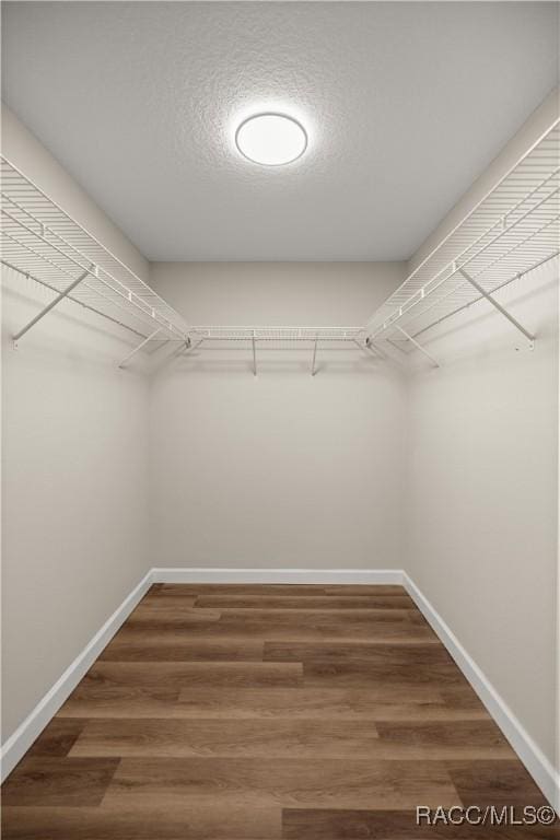 spacious closet featuring dark hardwood / wood-style flooring