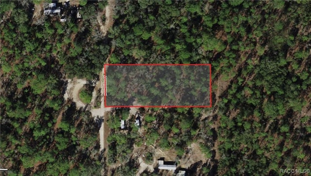 4937 N Mattox Pt, Crystal River, FL 34428 - photo 1