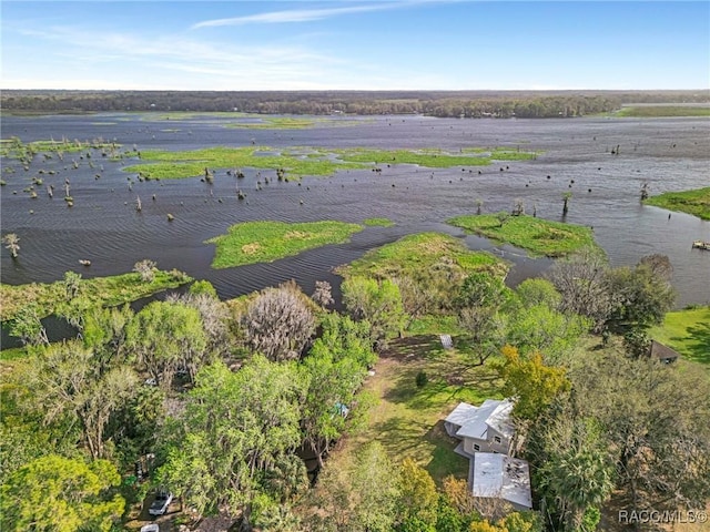 19190 SE 136th Ct, Dunnellon, FL 34431 - bird's eye view with a water view