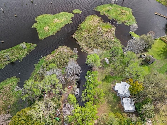 19190 SE 136th Ct, Dunnellon, FL 34431 - birds eye view of property featuring a water view