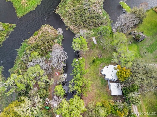 19190 SE 136th Ct, Dunnellon, FL 34431 - bird's eye view with a water view