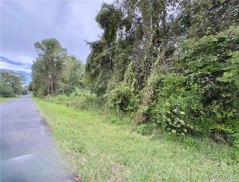 3919 S Illinois Ter, Homosassa, FL 34448 - photo 2