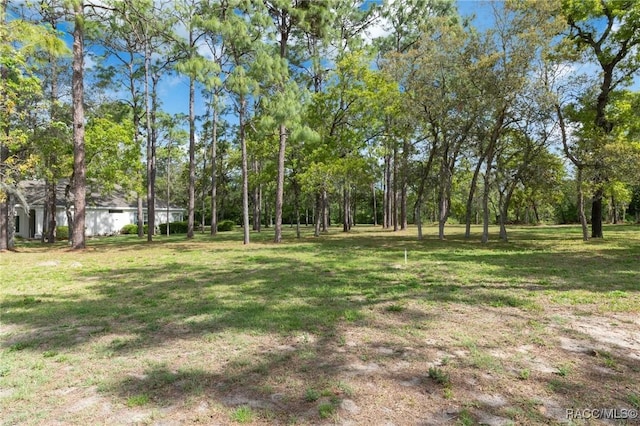 27 Deerwood Dr, Homosassa, FL 34446 - photo 38