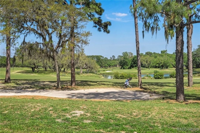 27 Deerwood Dr, Homosassa, FL 34446 - photo 45