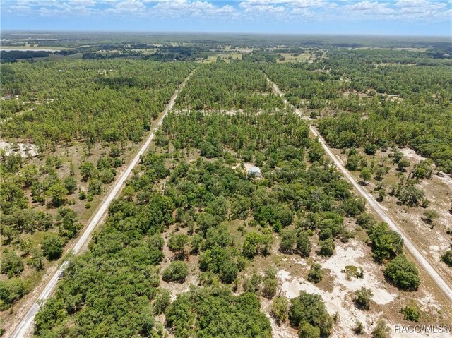 LOT6 SE 134th Ct, Dunnellon, FL 34431 - photo 7