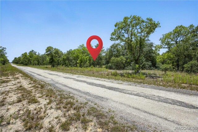 LOT6 SE 134th Ct, Dunnellon, FL 34431 - photo 12