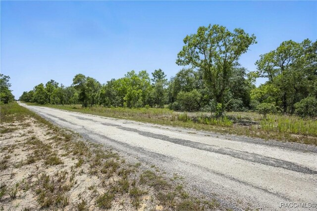LOT6 SE 134th Ct, Dunnellon, FL 34431 - photo 11