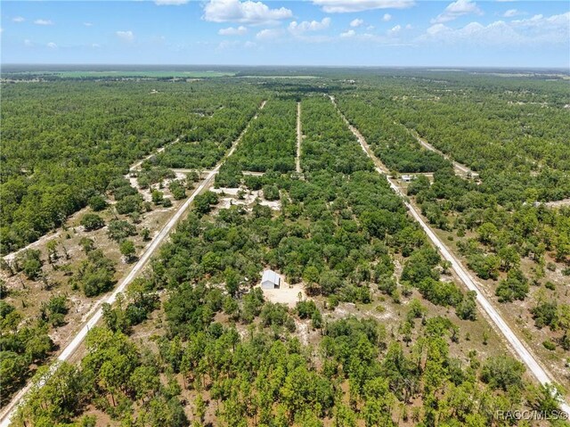 LOT6 SE 134th Ct, Dunnellon, FL 34431 - photo 4