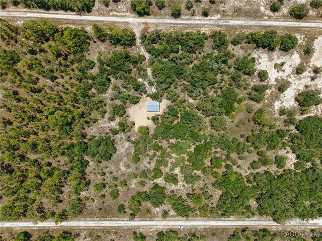 LOT6 SE 134th Ct, Dunnellon, FL 34431 - photo 8