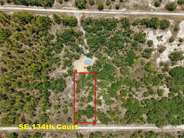 LOT6 SE 134th Ct, Dunnellon, FL 34431 - photo 1