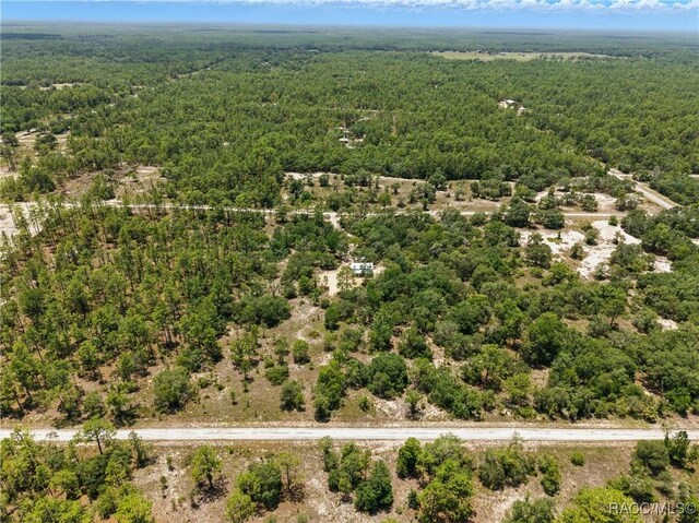 LOT6 SE 134th Ct, Dunnellon, FL 34431 - photo 3