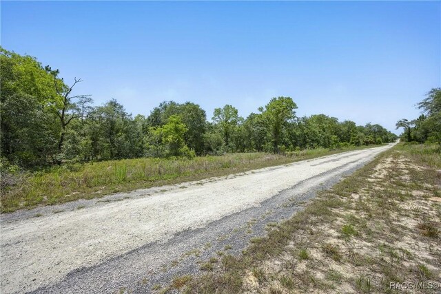 LOT6 SE 134th Ct, Dunnellon, FL 34431 - photo 16
