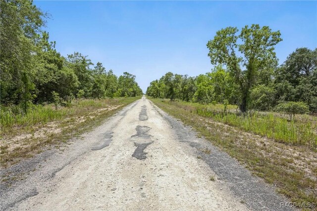 LOT6 SE 134th Ct, Dunnellon, FL 34431 - photo 9