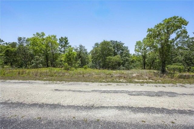 LOT6 SE 134th Ct, Dunnellon, FL 34431 - photo 13
