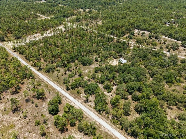 LOT6 SE 134th Ct, Dunnellon, FL 34431 - photo 2