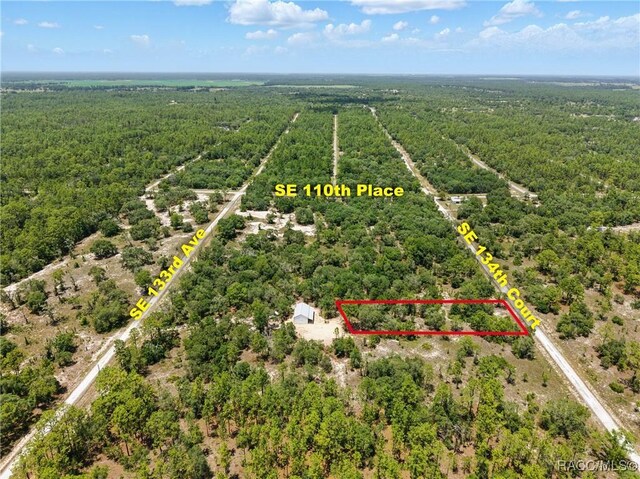 LOT6 SE 134th Ct, Dunnellon, FL 34431 - photo 5