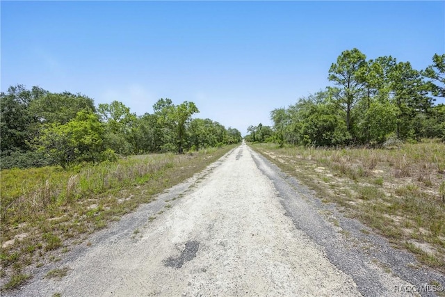 LOT6 SE 134th Ct, Dunnellon, FL 34431 - photo 14