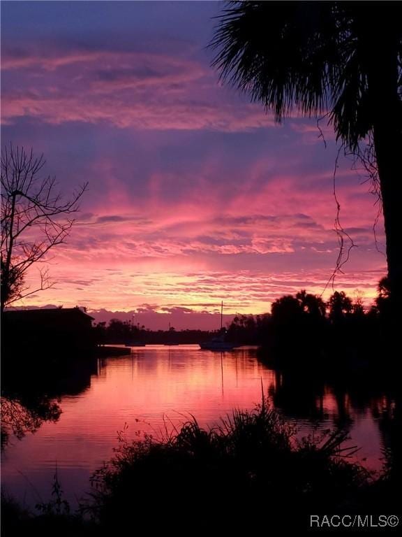 1203 SE Kings Bay Dr, Crystal River, FL 34429 - property view of water