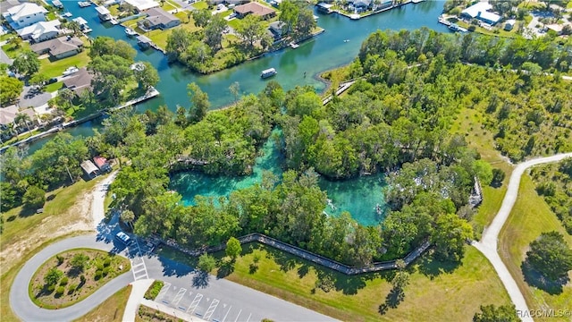 1203 SE Kings Bay Dr, Crystal River, FL 34429 - birds eye view of property with a water view