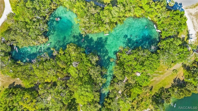 1203 SE Kings Bay Dr, Crystal River, FL 34429 - birds eye view of property