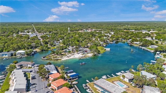1203 SE Kings Bay Dr, Crystal River, FL 34429 - bird's eye view featuring a forest view and a water view