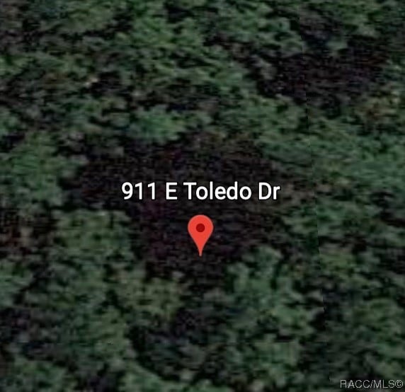 911 E Toledo Dr, Citrus Springs FL, 34434 land for sale