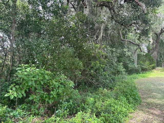 3041 E Berwick Ct, Hernando, FL 34442