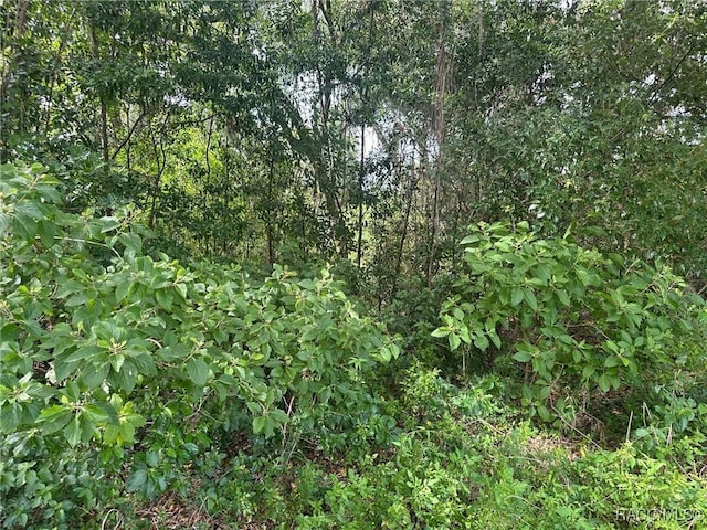 3041 E Berwick Ct, Hernando, FL 34442