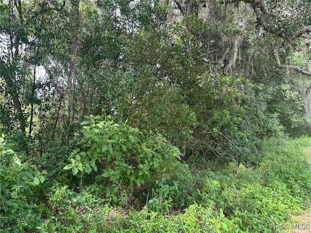 3041 E Berwick Ct, Hernando, FL 34442