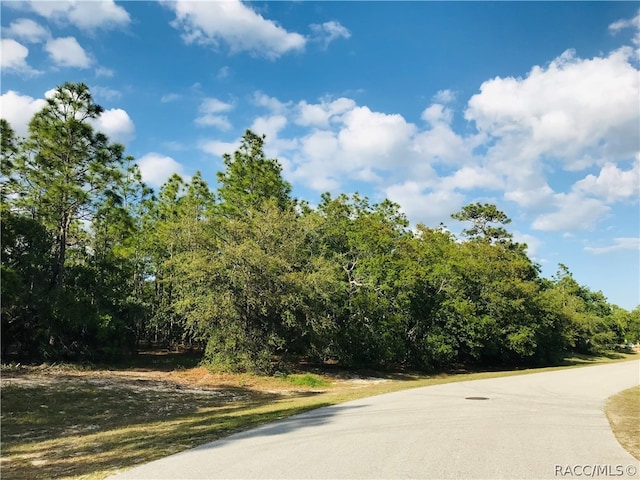 Listing photo 2 for 25 Highwood Path, Homosassa FL 34446