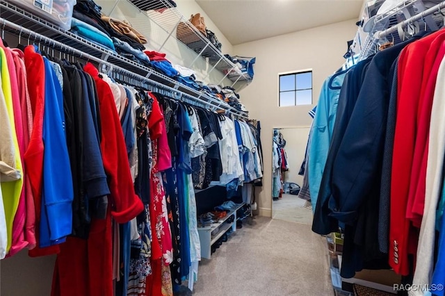 spacious closet featuring carpet flooring