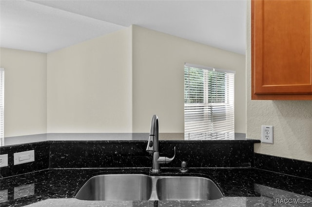 interior details with dark stone countertops and sink