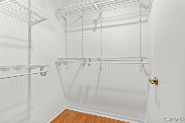 spacious closet featuring wood-type flooring