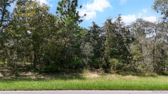 51 Oak Village Blvd, Homosassa FL, 34446 land for sale