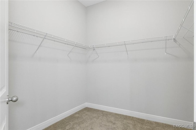 4464 N Elkcam Blvd, Beverly Hills, FL 34465 - photo 33