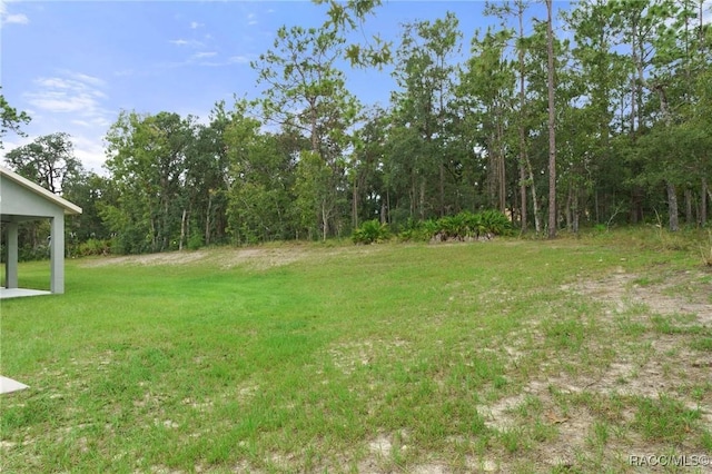 4464 N Elkcam Blvd, Beverly Hills, FL 34465 - photo 46
