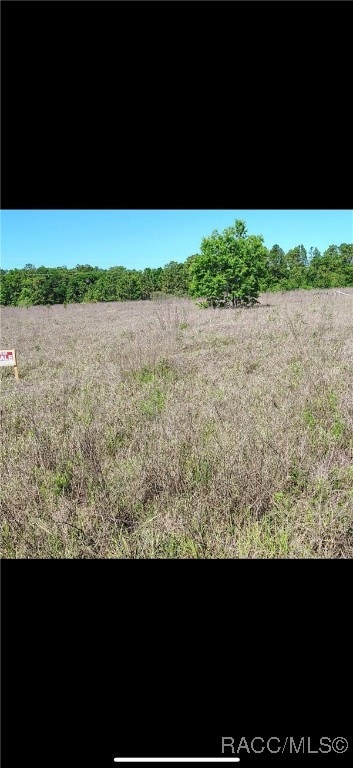 0 SW 151st Ave Fl, Ocala, FL 34481 - photo 1