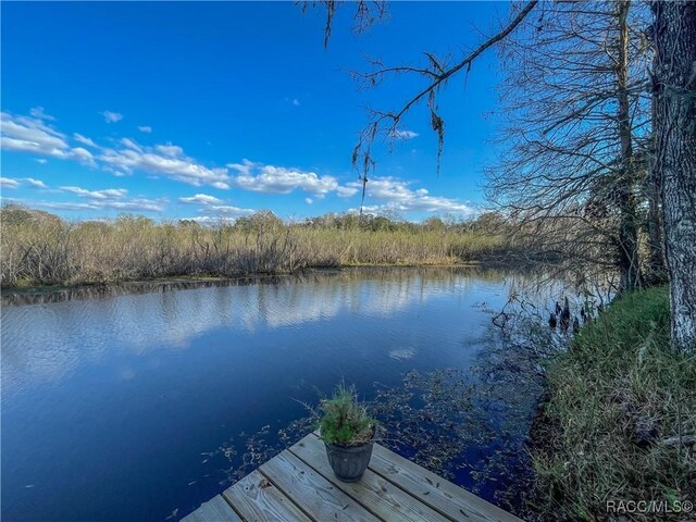 view of dock with a water view