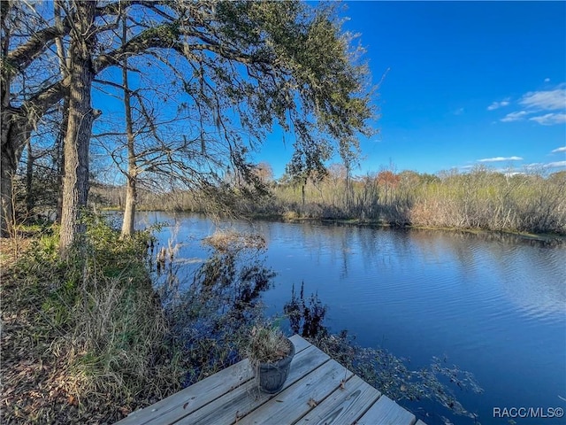 view of dock with a water view