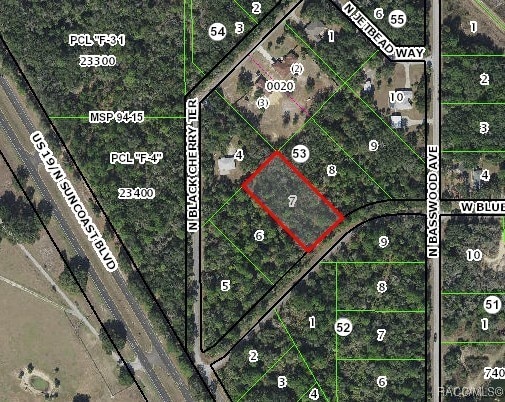 12175 W Bluebell Dr, Crystal River FL, 34428 land for sale