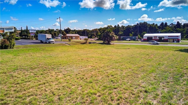 3118 S Florida Ave, Inverness, FL 34450 - photo 4