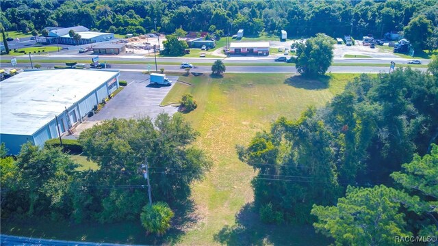 3118 S Florida Ave, Inverness, FL 34450 - photo 12