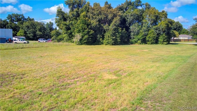3118 S Florida Ave, Inverness, FL 34450 - photo 7
