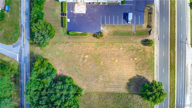 3118 S Florida Ave, Inverness, FL 34450 - photo 16