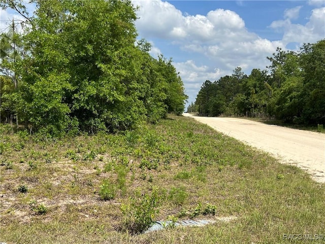 0000 NE 131st Ter, Williston, FL 32696