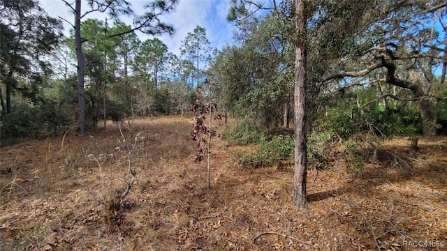 Address Not Disclosed, Lecanto FL, 34461 land for sale