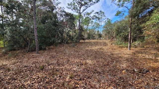 Listing photo 2 for Address Not Disclosed, Lecanto FL 34461