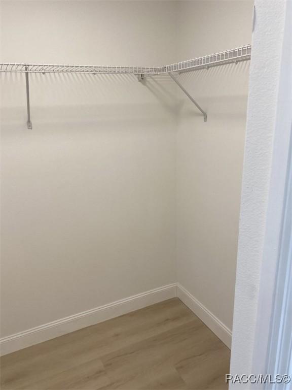 259 N Cherry Pop Dr, Inverness, FL 34453 - walk in closet with light wood-style flooring