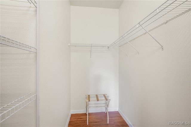 2459 N Brentwood Cir, Lecanto, FL 34461 - walk in closet featuring wood finished floors